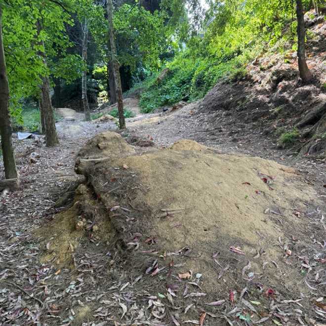 Mountain bike track and jumps in Rose Road Gully