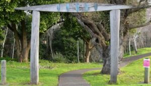 Rose Road Gully, Grey Lynn Park